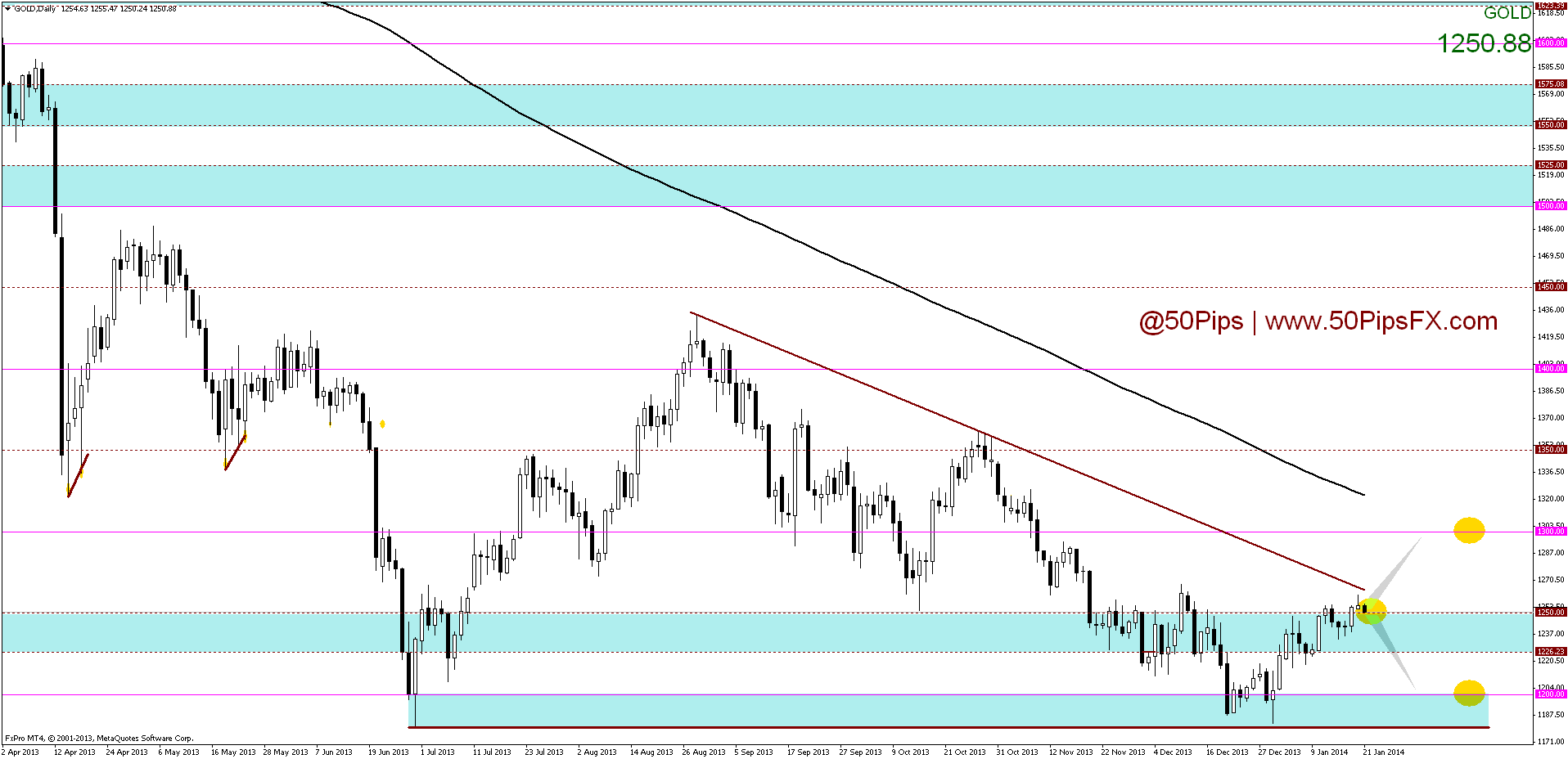 golddaily