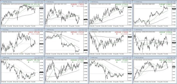 daily-overview